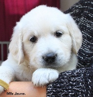 Mlle Jaune.